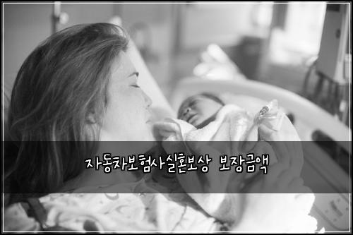 자동차보험사실혼보상 보장금액