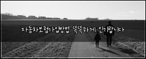 자동차보험가입방법 똑똑하게 인기랍니다