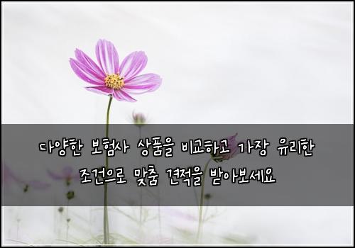 오늘의 이미지