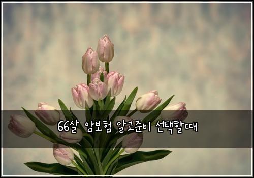 66살 암보험 알고준비  선택할때