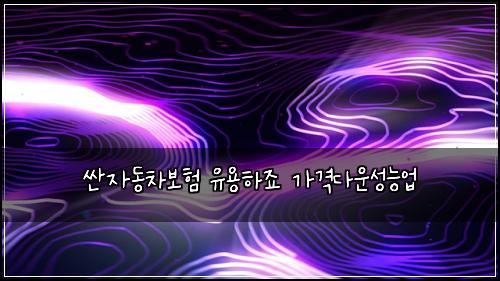 싼자동차보험 유용하죠  가격다운성능업
