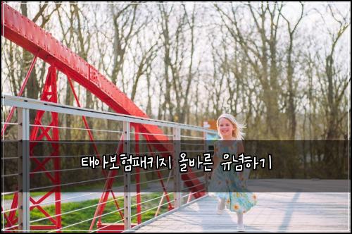 태아보험패키지 올바른 유념하기
