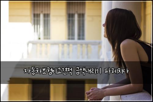 자동차보험비교견적 금액내리기 파헤치다