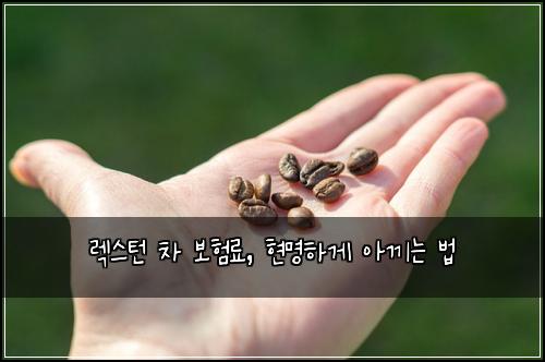 렉스턴 차 보험료, 현명하게 아끼는 법