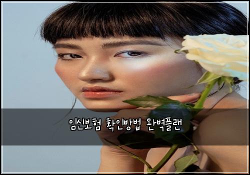 임신보험 확인방법  완벽플랜