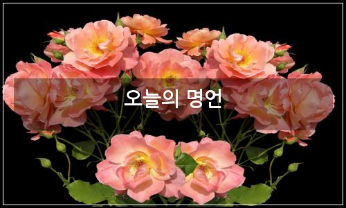 오늘의 이미지