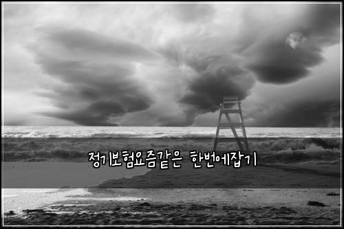 정기보험요즘같은 한번에잡기