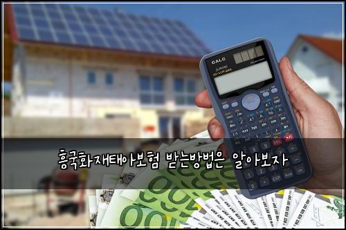 흥국화재태아보험 받는방법은  알아보자