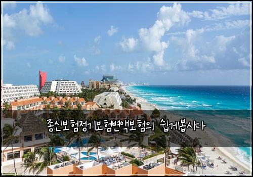 종신보험정기보험변액보험의 쉽게봅시다