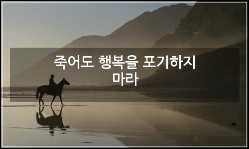 오늘의 이미지