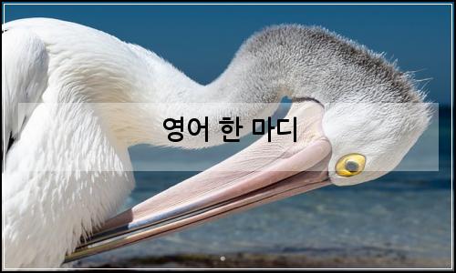 오늘의 이미지