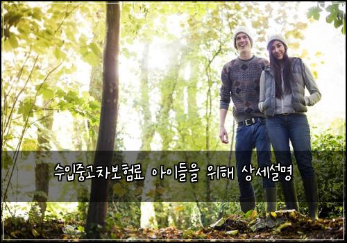 수입중고차보험료 아이들을 위해 상세설명