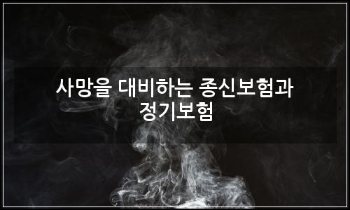 오늘의 이미지