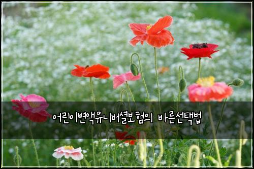 어린이변액유니버셜보험의 바른선택법