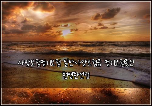 사망보험정기보험 일반사망보험금 정기보험종신 현명한선정