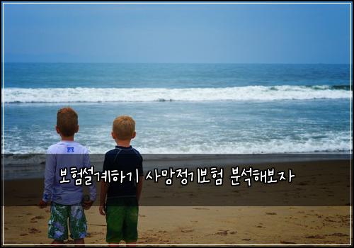 보νμ€κ³νκΈ° μ¬λ§μ 기보ν λΆμν΄λ³΄μ