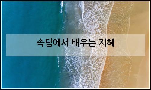 오늘의 이미지