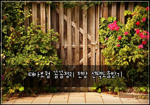 태아보험 꼼꼼정리  전망 선택도움받기