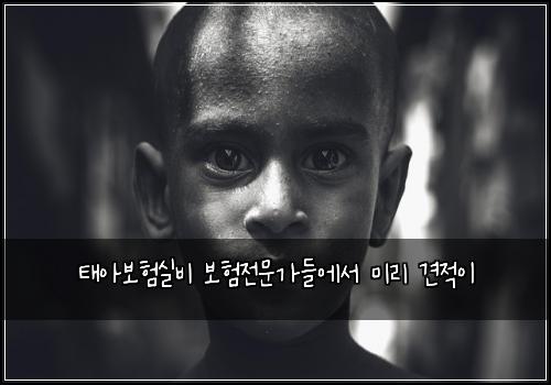 νμ보νμ€λΉ 보νμ λ¬Έκ°λ€μμ 미리 견μ μ΄