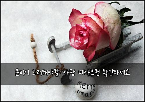 ์ค๋น์ ๊ณ ๋ คํด์ผํ ์ฌํญ ํ์๋ณดํ ํ์ธํ์ธ์