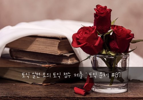 토익 실전 모의 토익 점수 제출 : 토익 문제 #137