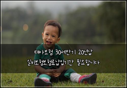 태아보험 30세만기 20년납 실비보험보험료납입기간 필요합니다