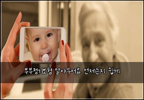 부부정기보험 알아두어요  언제든지 쉽게