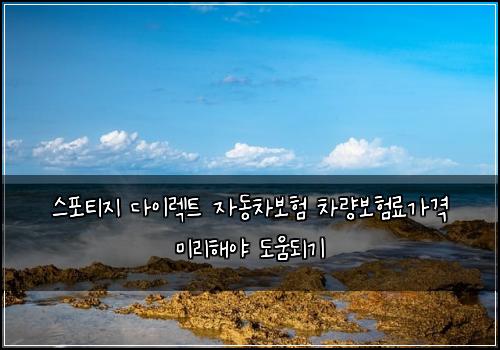 스포티지 다이렉트 자동차보험 차량보험료가격 미리해야 도움되기
