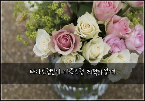 태아보험인기 가족보험 최적화설계
