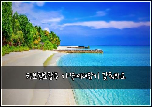 차보험료할부 가격때려잡기 갖춰봐요