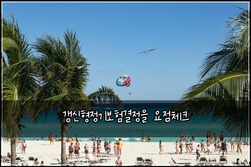 갱신형정기보험결정을 요점체크