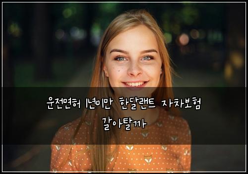 운전면허 1년미만 한달랜트 자차보험 갈아탈까 