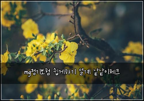 mg정기보험 쉽게하기  설계 낱낱이체크