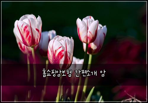 홈쇼핑암보험 간편소개  암