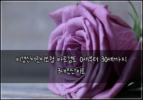 비갱신어린이보험 바로검토  0세부터 30세까지 3대진단비로