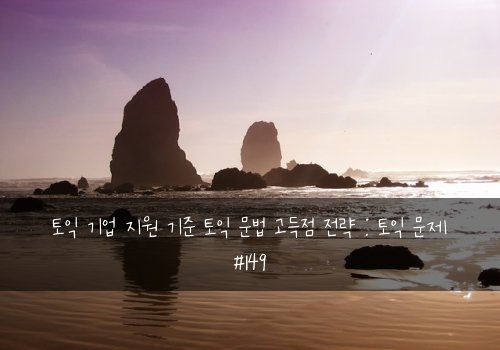 토익 기업 지원 기준 토익 문법 고득점 전략 : 토익 문제 #149