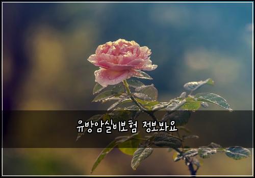 유방암실비보험 정보봐요 