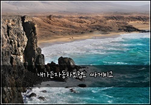 내가든자동차보험도 싸게비교