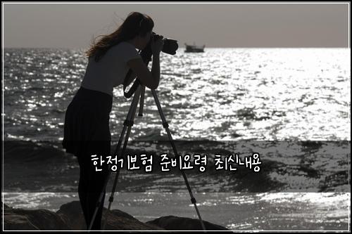 한정기보험 준비요령  최신내용