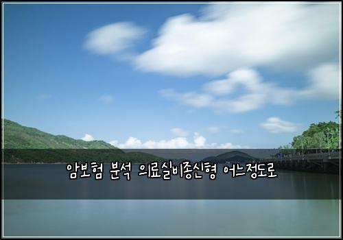 암보험 분석  의료실비종신형 어느정도로