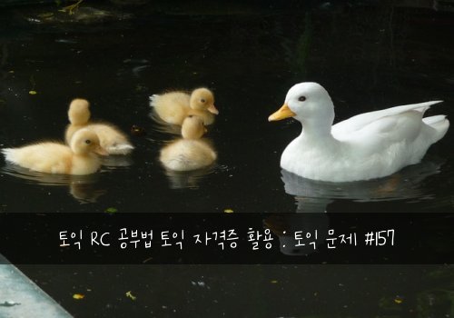 토익 RC 공부법 토익 자격증 활용 : 토익 문제 #157