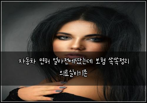 자동차 면허 얼마전에땄는데 보험 쏙쏙정리  의료실비기존