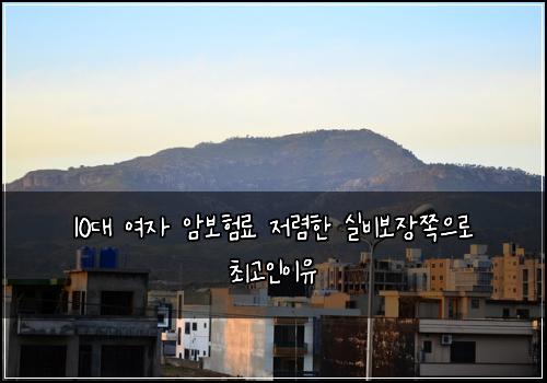 10대 여자 암보험료 저렴한 실비보장쪽으로 최고인이유