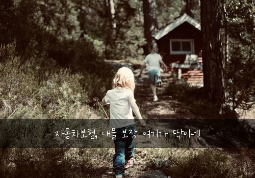 자동차보험, 대물 보장 여기가 딱이네!