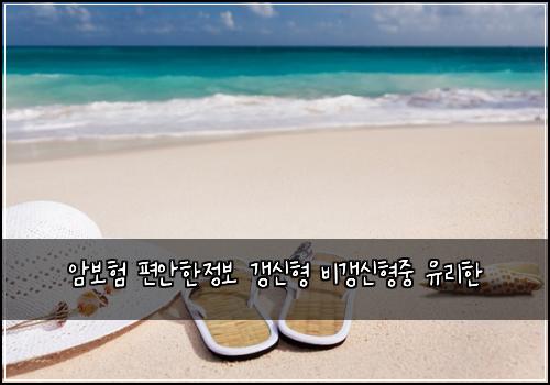 암보험 편안한정보  갱신형 비갱신형중 유리한