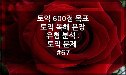 오늘의 이미지