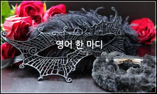 오늘의 이미지