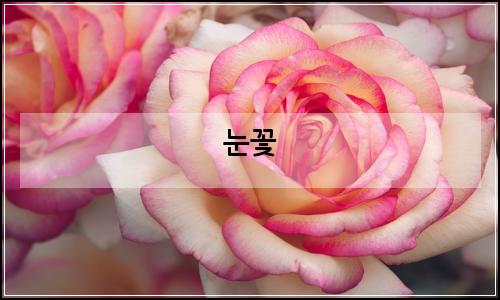 오늘의 이미지