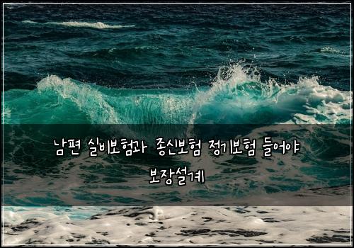 남편 실비보험과 종신보험 정기보험 들어야 보장설계
