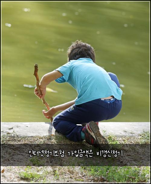 인터넷정기보험 가입금액은  비갱신정기